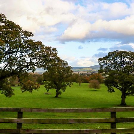 Ballybeg Pod 9 Arklow Dış mekan fotoğraf